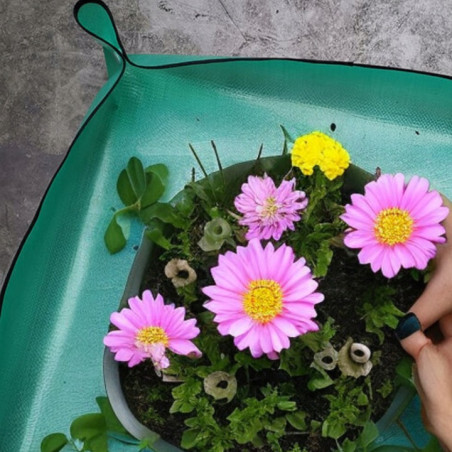 Mata do Przesadzania Roślin 50x50 cm