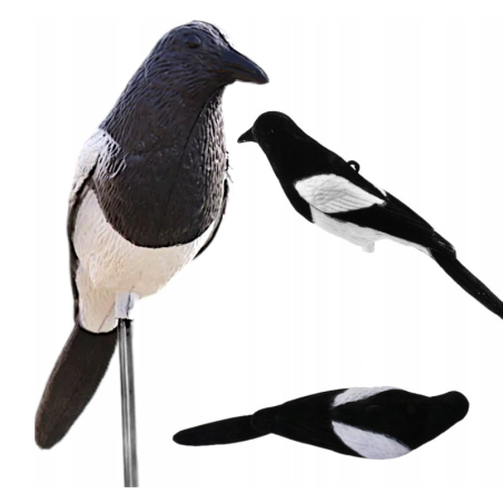 Odstraszacz ptaków - sroka