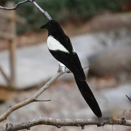 Odstraszacz ptaków - sroka