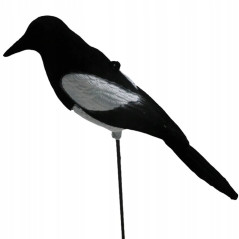 Odstraszacz ptaków - sroka