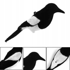 Odstraszacz ptaków - sroka